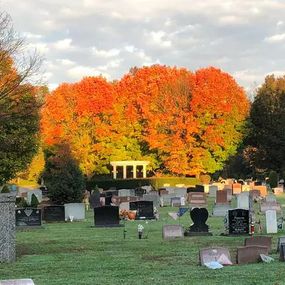 plots in autumn