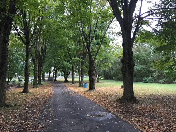 path between trees