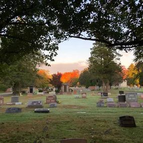fall 